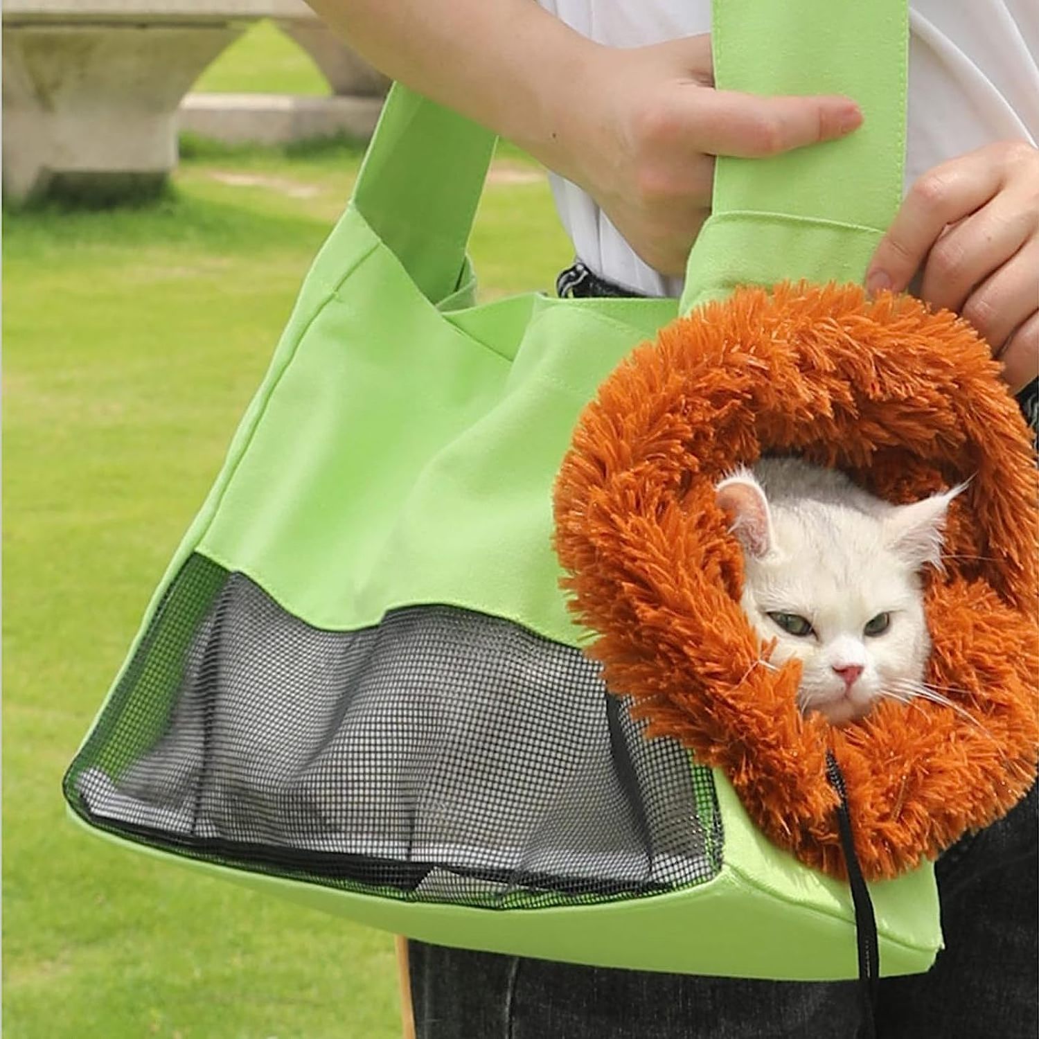 Pet Out Backpack Bag Portable Folding Breathable Ragdoll Cat  Cartoon Lion Cat Bag Canvas Bag