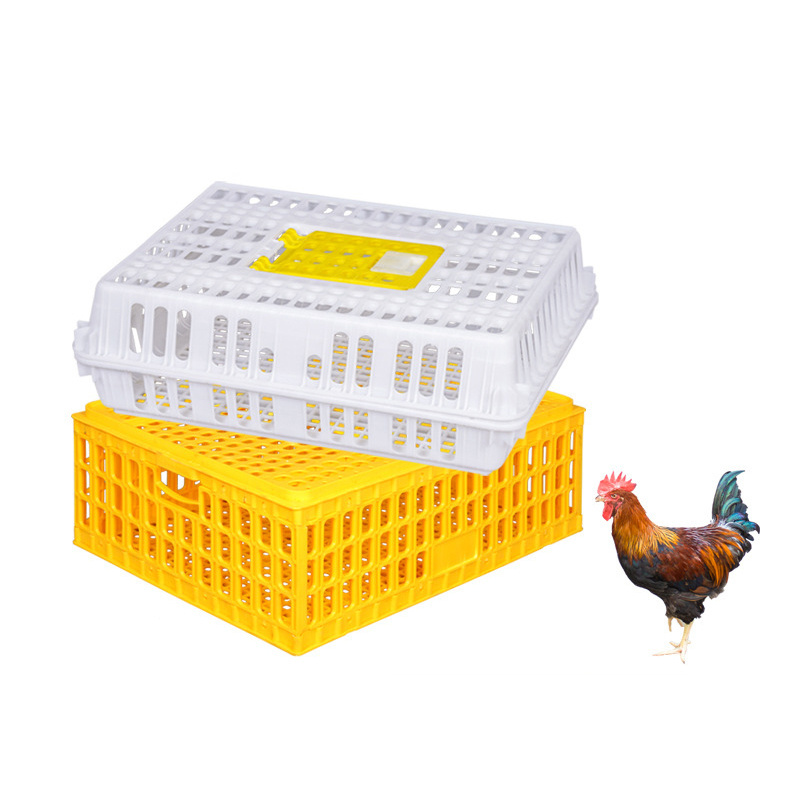 Wholesale Farm Equipment Chick Box Layer Plastic Chicken Transport Cage