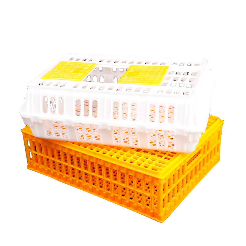 Wholesale Farm Equipment Chick Box Layer Plastic Chicken Transport Cage