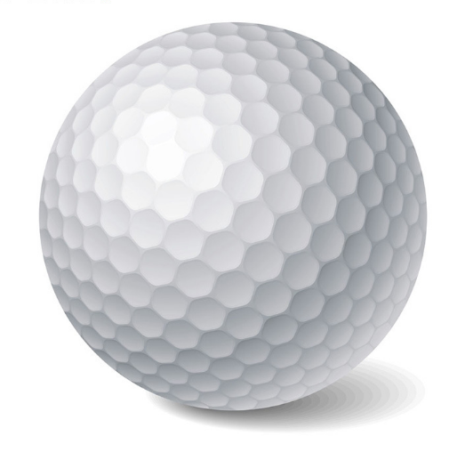 Customized Logo Eco-friendly 4 Piece Golf Ball Biodegradable Golf Ball New Golf Ball