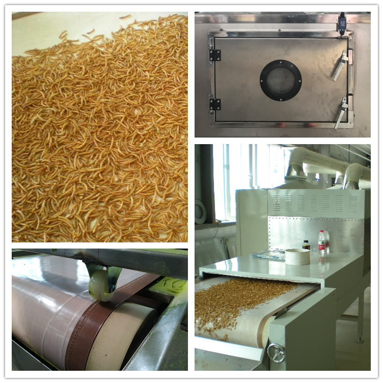 Automatic Tunnel Microwave Dryer Machine For Insect Bsf Earthworm Cricket Yellow Mealworm Drying Equipment