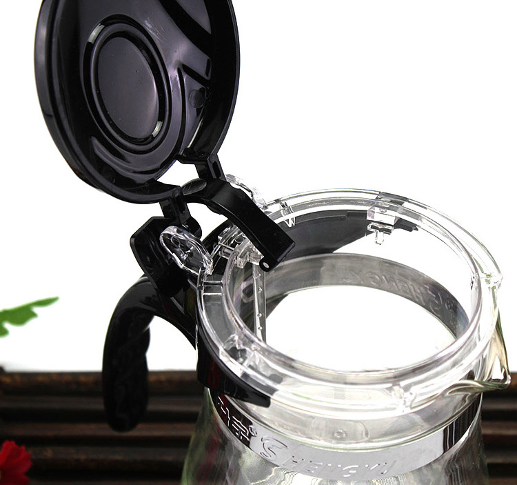 Loose Leaf Tea Maker with Glass Teapot with Removable Filter