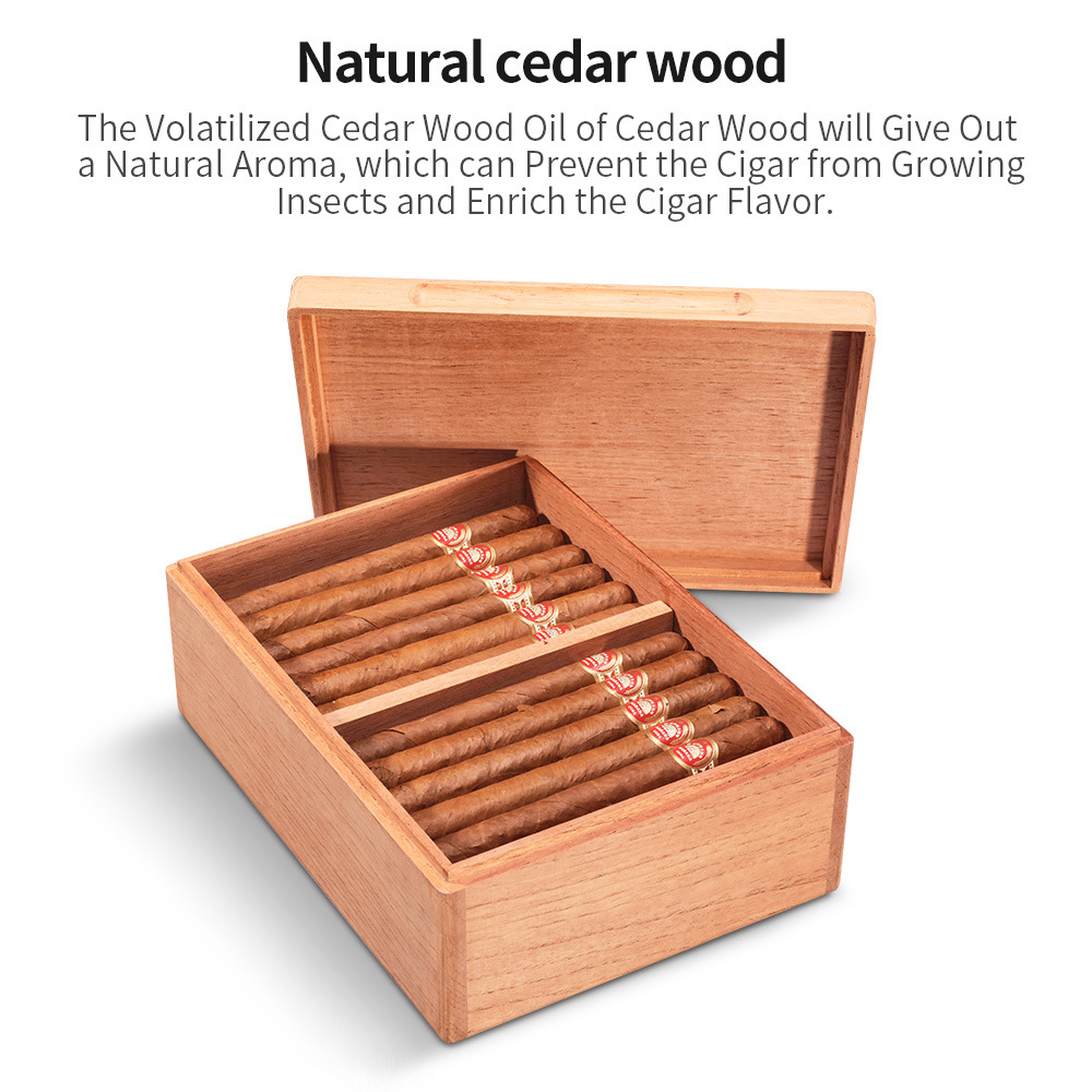 CIGARLOONG Large Capacity Cigar Humidor, Spanish Cedar Wood Lacquerless Alcoholised Cigar Humidor