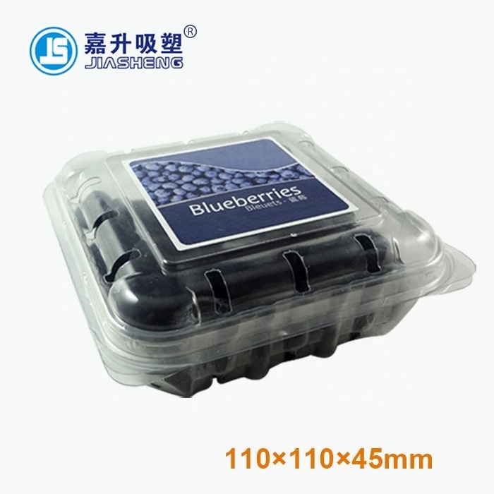 PET Disposable Plastic Clear Blister Packaging Container Fruit Blueberry Strawberry Punnet