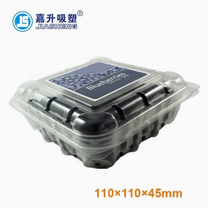 PET Disposable Plastic Clear Blister Packaging Container Fruit Blueberry Strawberry Punnet