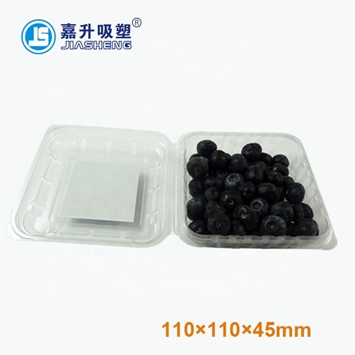 PET Disposable Plastic Clear Blister Packaging Container Fruit Blueberry Strawberry Punnet