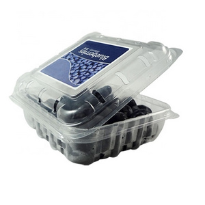 PET Disposable Plastic Clear Blister Packaging Container Fruit Blueberry Strawberry Punnet