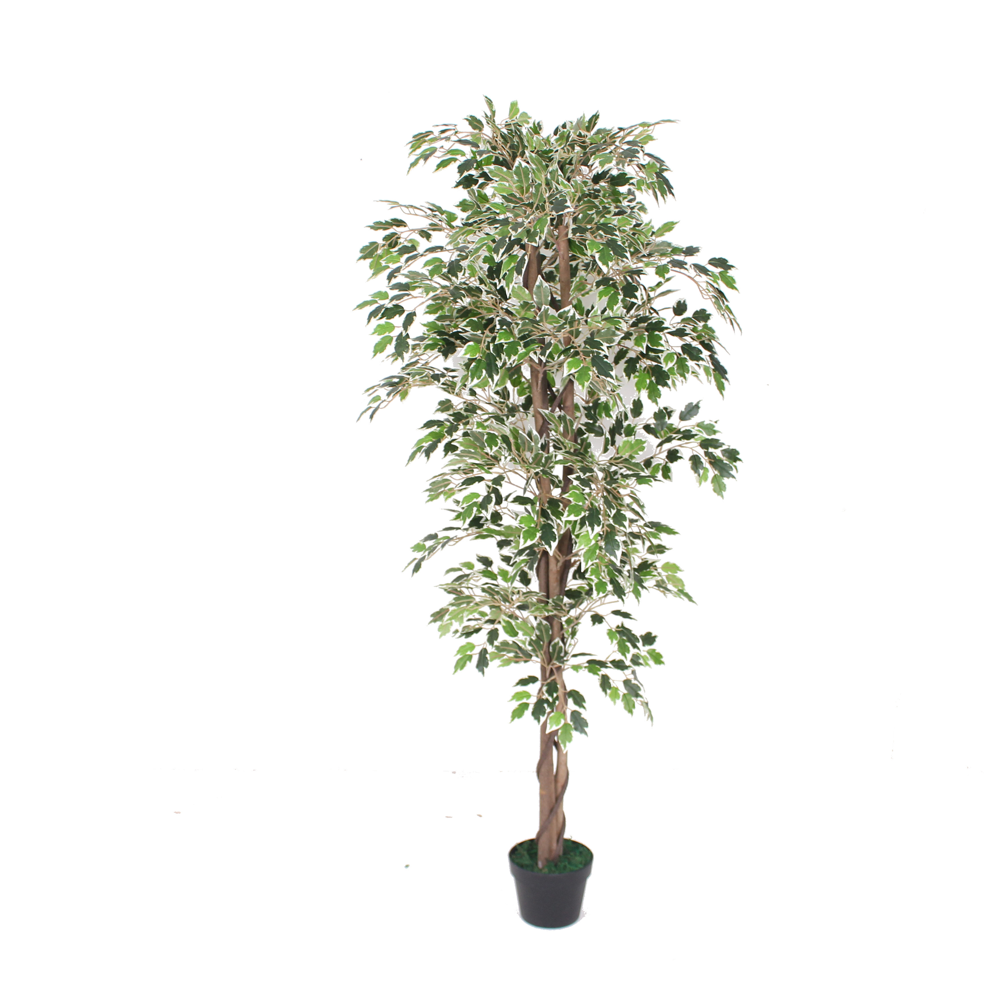 wholesale home decor large bonsai ficus artificial plants trees with pots