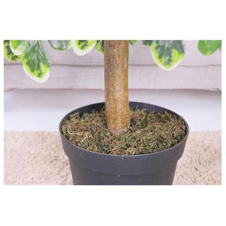 Artificial Plants Tree For Decoration Hotel Coconut Palm Potted 2024 Artificial Plants In Pots For Home Decor Indoor