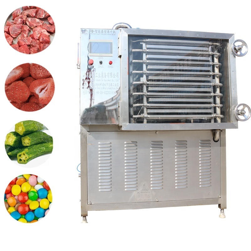 small mini sea food freeze dryer freeze drying machine freeze dried fruit machine