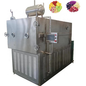 mini vegetable and fruit  mango  coffee corn  dry meat machine dry fish machine fig drying machine