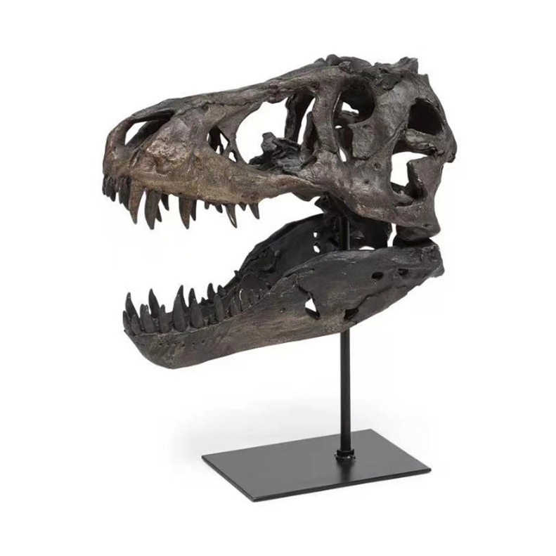 Home Office Jurassic Party Decor ornament Resin Crafts Dino Fossil Collectible Dinosaur Head Skulls Statue Sculpture