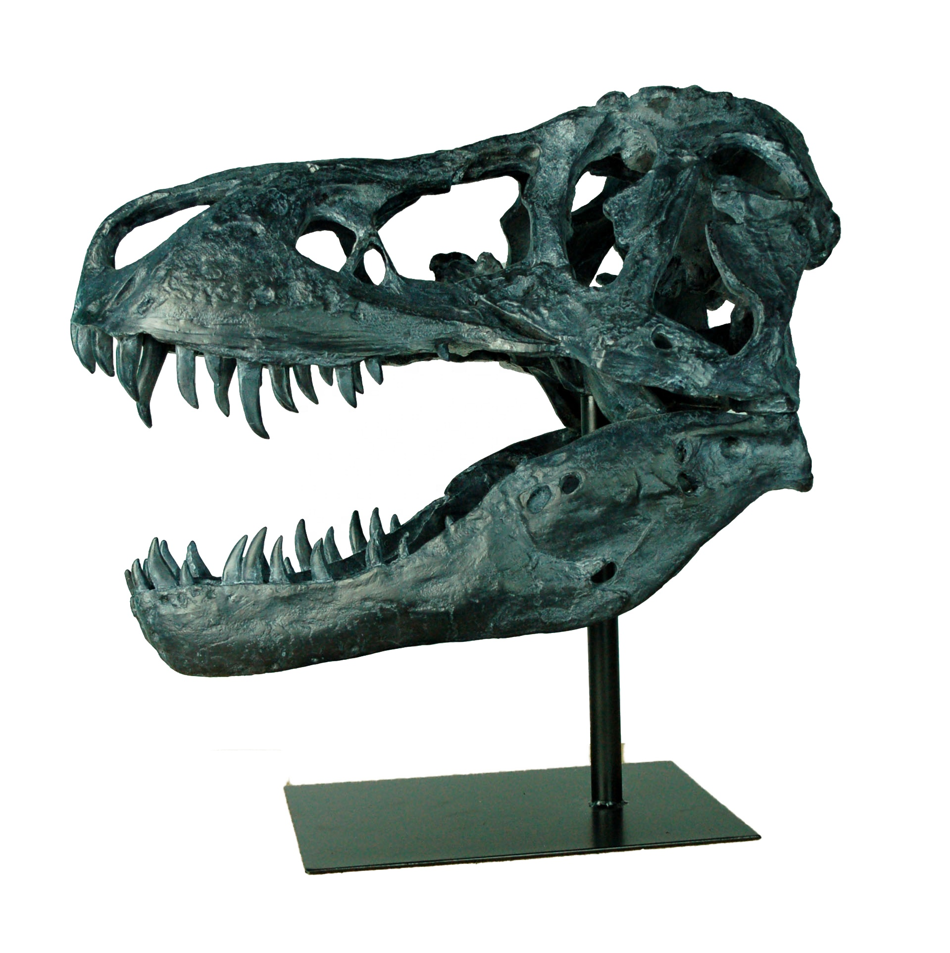 Resin Collectible Jurassic World Park Dinosaur Party Ornament Supplies Fossiles De Dinosaures Skull Head Decor Statue