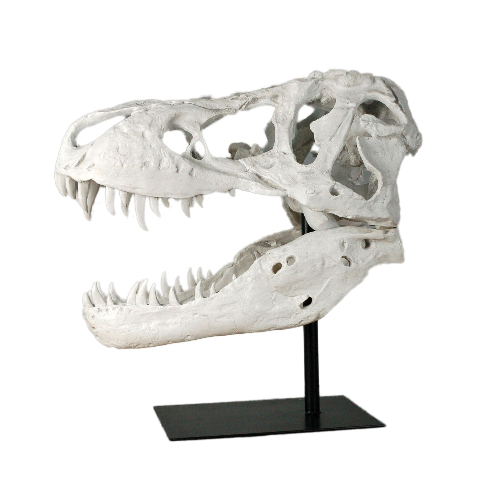 Resin Collectible Jurassic World Park Dinosaur Party Ornament Supplies Fossiles De Dinosaures Skull Head Decor Statue