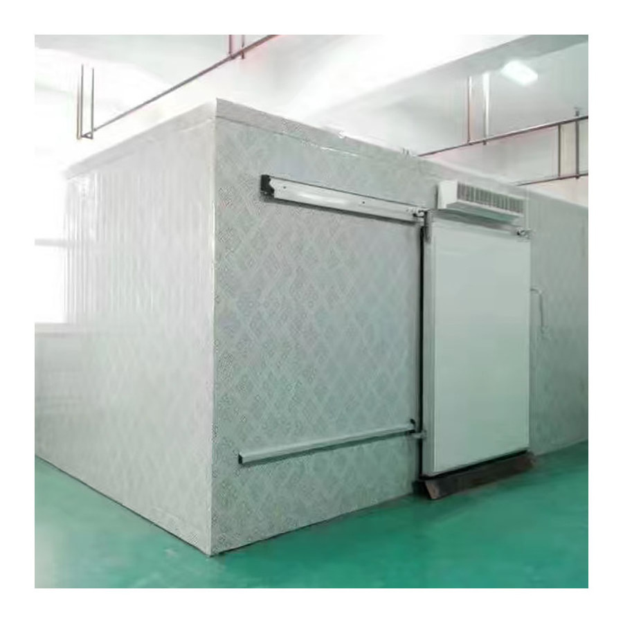 High Quality Sliding Freezer Hing Door For Cold Room