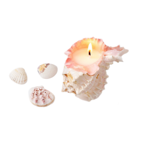 Soy Wax Sea Ocean Theme Style Natural Whelk Sea Shell Conch Shaped Scented Candles