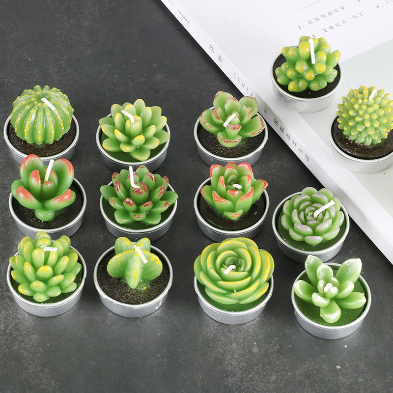 Hot Selling 6 Pcs Set Paraffin Wax Mini Green Plant Tealight Succulent Candle Cactus Candles