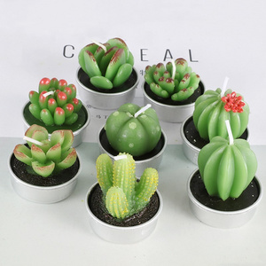 Hot Selling 6 Pcs Set Paraffin Wax Mini Green Plant Tealight Succulent Candle Cactus Candles