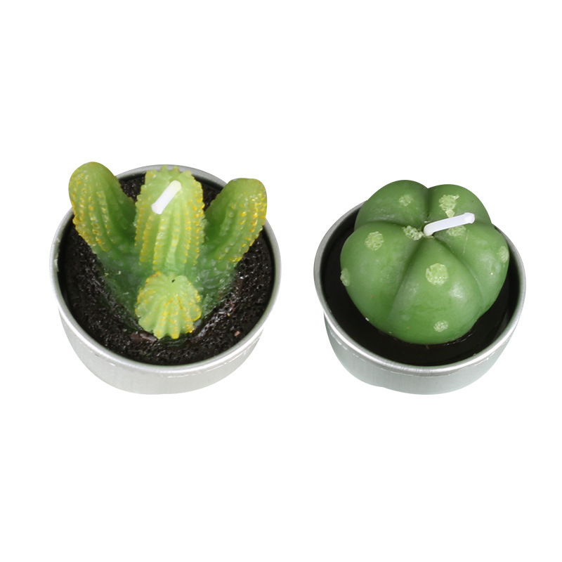 Hot Selling 6 Pcs Set Paraffin Wax Mini Green Plant Tealight Succulent Candle Cactus Candles