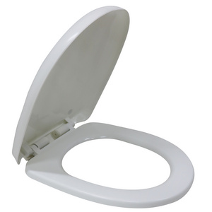 European type water closet seat cover