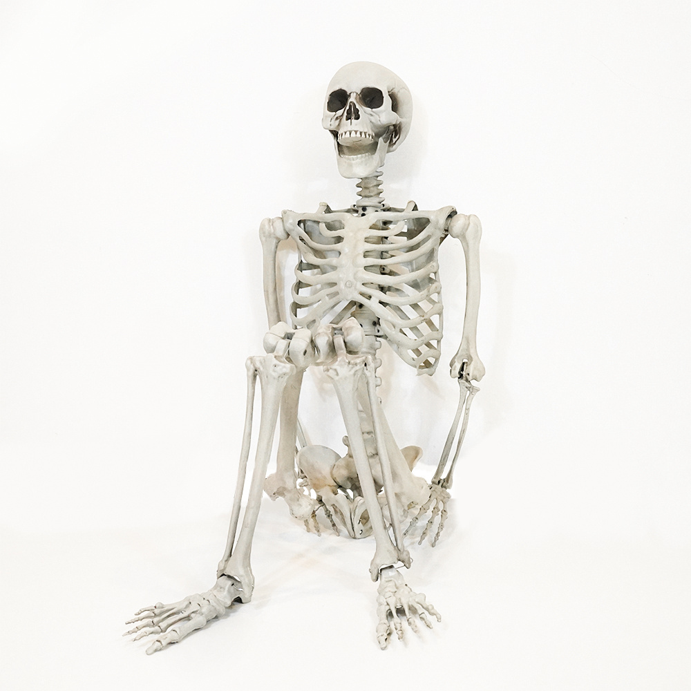 165 Cm New Oem Odm Real Spooky Bar Large Moving   Bone Skeleton Halloween Decoration