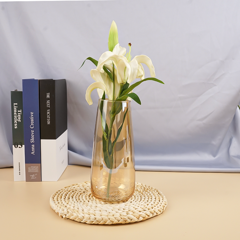 Modern Electroplated Clear Glass Vase Delicate And Small Hydroponic Flower Arrangement Vase