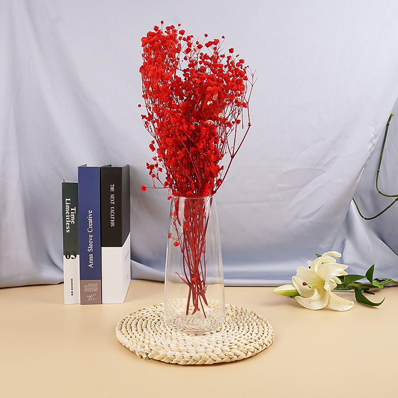 Modern Electroplated Clear Glass Vase Delicate And Small Hydroponic Flower Arrangement Vase