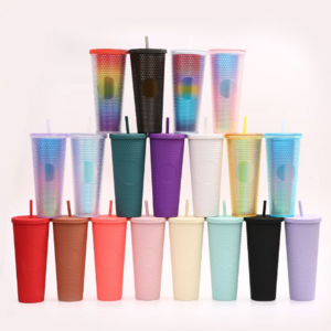 Double Wall Plastic 710ml Tumbler 24oz BPA Free Mug Portable Matte acrylic Pink Tumblers with Straw and Lid