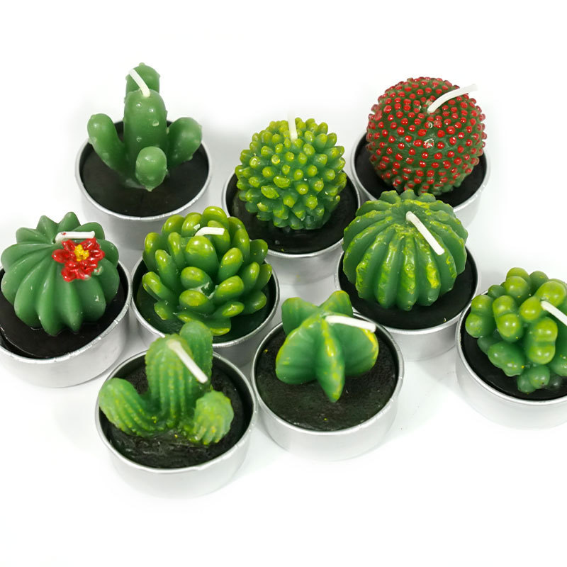 Cactus Tealight Candles Gift Set Handmade Smokeless Cute Succulents Plant Shape Candle For Party