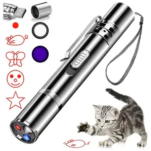 Custom 1mw USB Rechargeable 3in1 laser red dot pattern interactive cat toy green blue light laser pointer pen