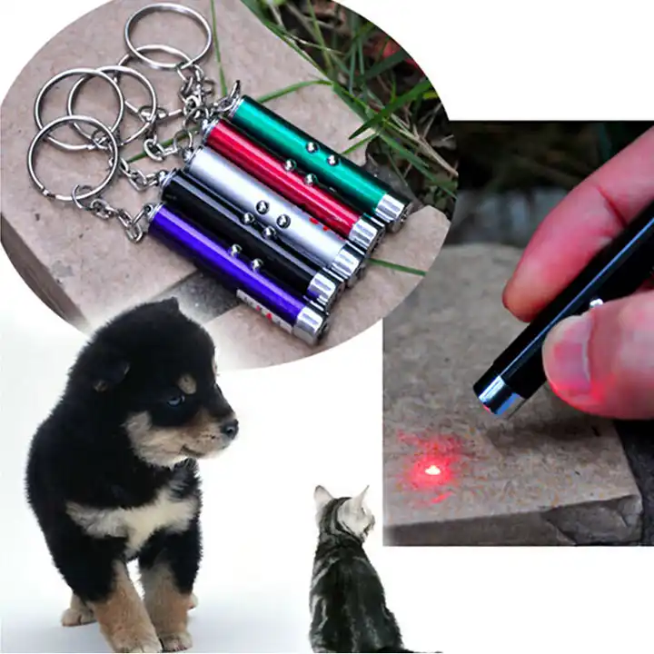 2-In-1 Cat Pet Toy Red Lasers Light LED Pointer Pen White Red Flashlight Torch Interactive Training Lasers Pointer Pen For Cat