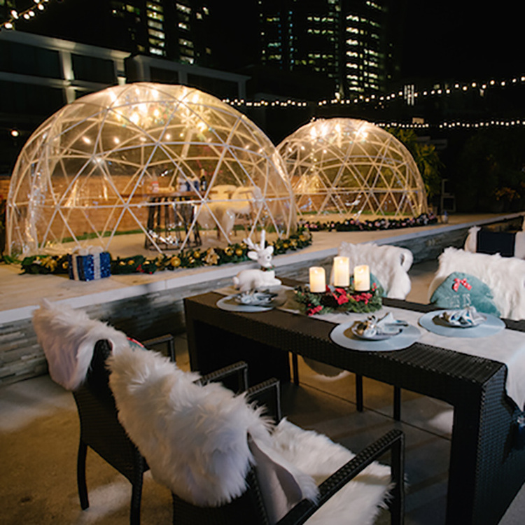 Geodesic Dome Glamping  Dome Resort Tent Bubble Tent House