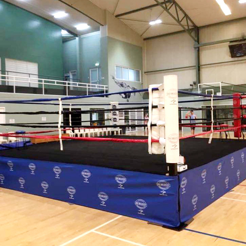 Professional international standard Custom logo MMA elevated boxing ring wrestling ring for sale