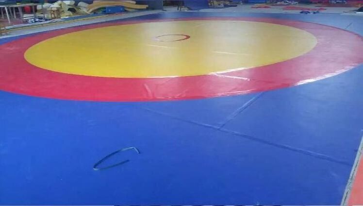 Used Wrestling Mats Cover Bjj rolling out Mats for sports from factory direct supply