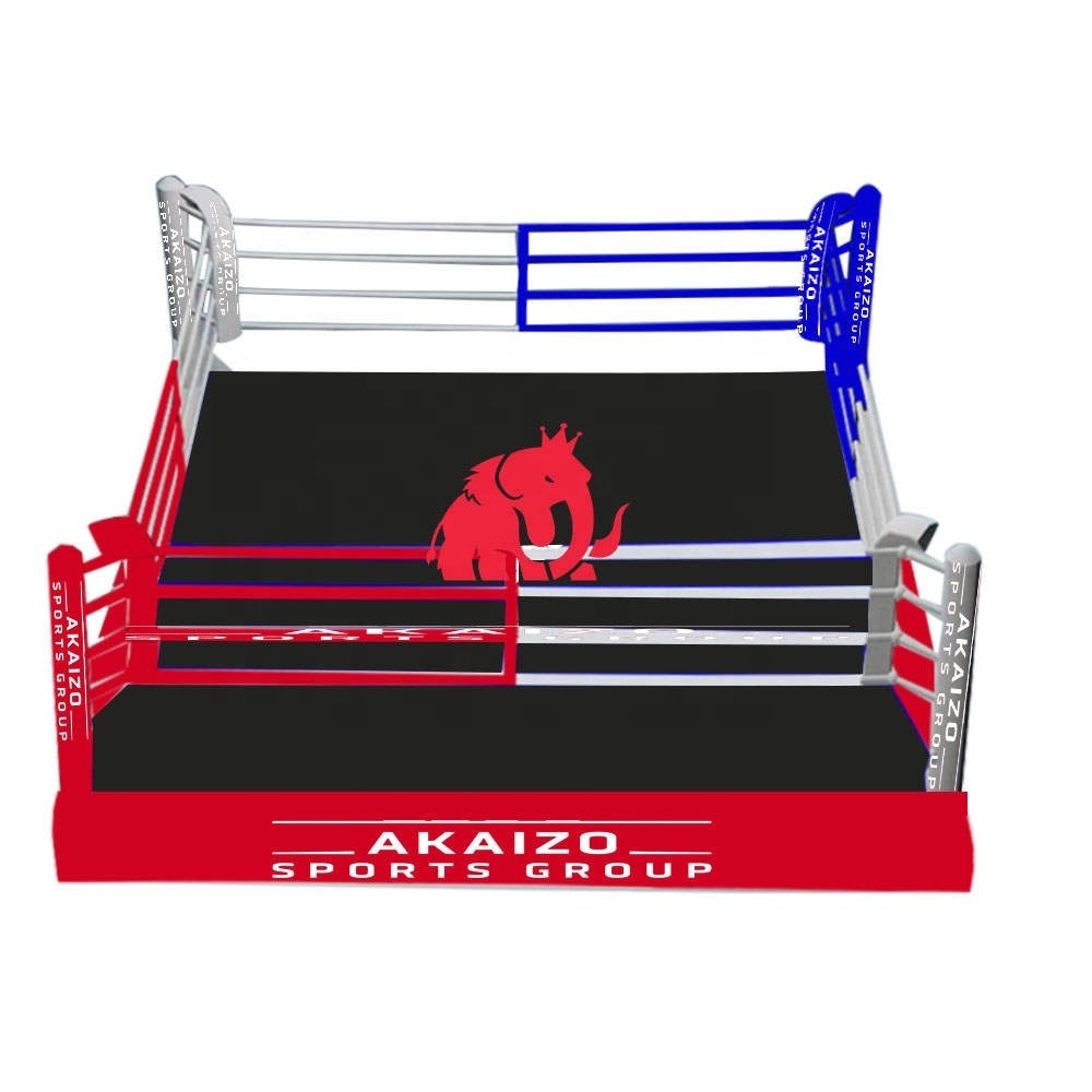 Professional custom logo inflatable wrestling ring boxing ring 7x7m 6x6m 5m*5m other boxing products