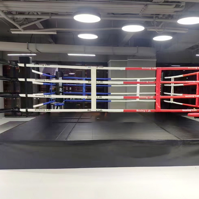 International Professional Foldable Mini Small Boxing Ring For Wrestling Martial Art Sanda