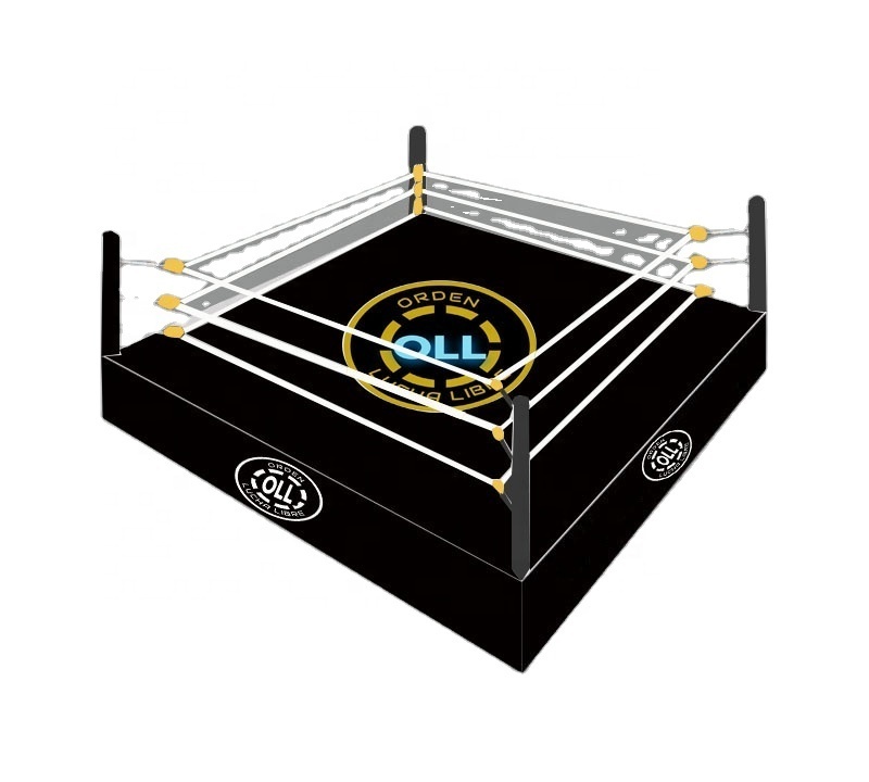 Standard wrestling ring 6m*6m canvas offical competition Boxing ring small customized for sale