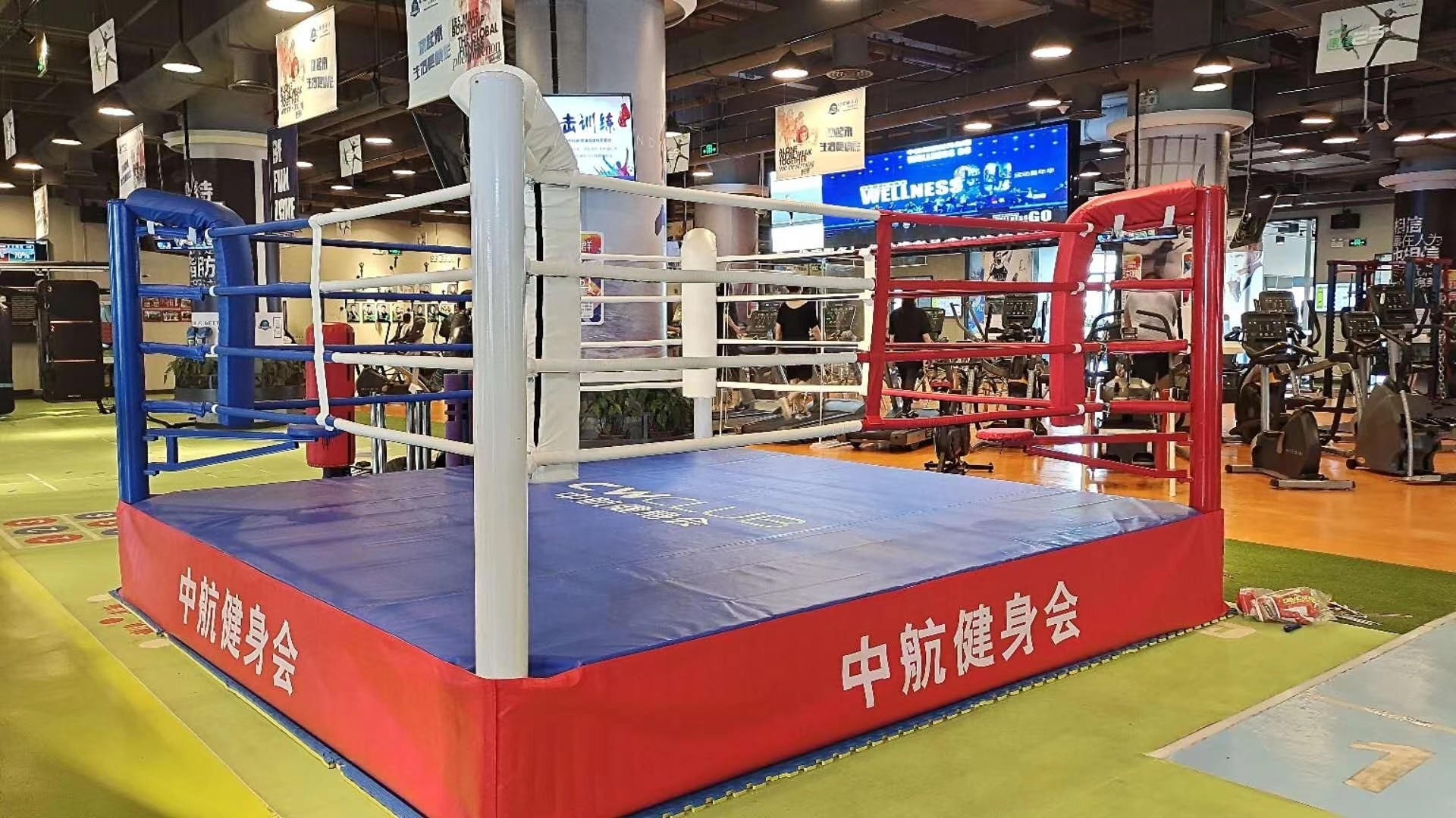 Customized good prices Professional boxing ring 6m*6m wrestling ring for sale