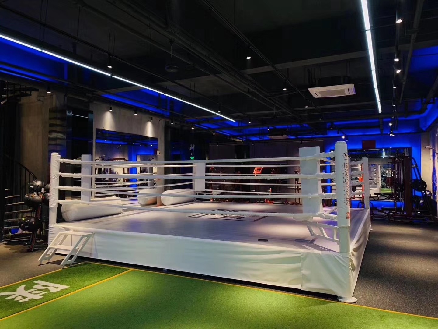 Standard wrestling ring 6m*6m canvas offical competition Boxing ring small customized for sale