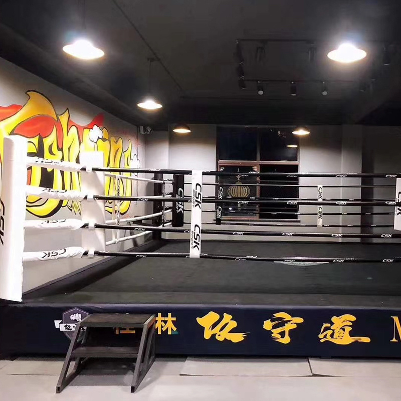 Indoor / Outdoor Professional Competition Training 4X4 5m*5m 7m*7m*1m Elevated Portable Boxing Ring