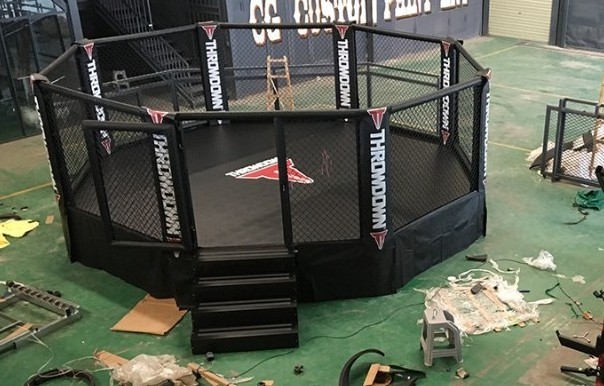 Professional MMA standard competition octagonal cage boxing ring wrestling ring for sale