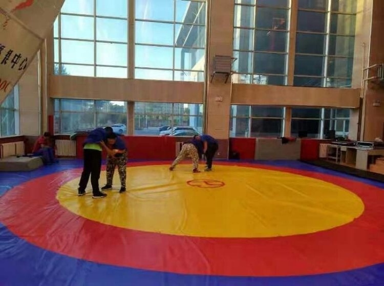 Used Wrestling Mats Cover for sale Bjj rolling out Mats