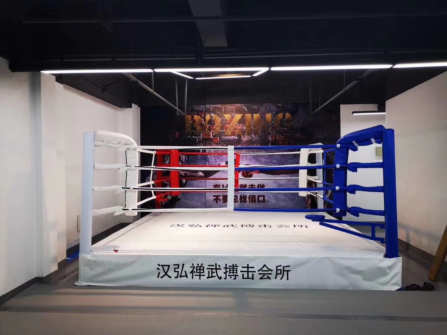 Customized good prices Professional boxing ring 6m*6m wrestling ring for sale