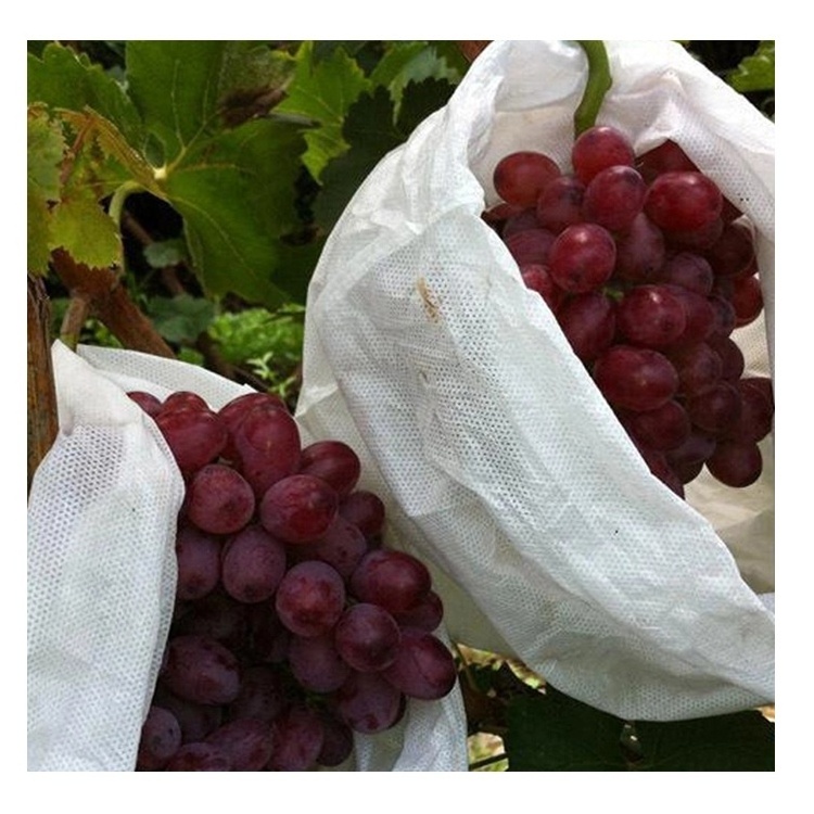 High Quality Bags Grapes Fruit Cover Protection Bag Fuit White Non woven Fruit Cover Protection Bag