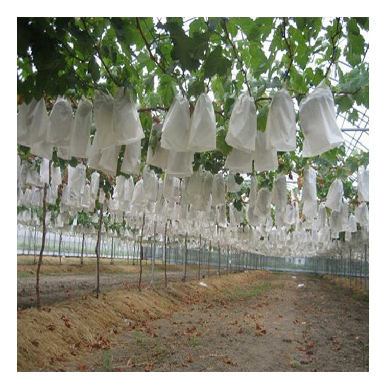 High Quality Bags Grapes Fruit Cover Protection Bag Fuit White Non woven Fruit Cover Protection Bag