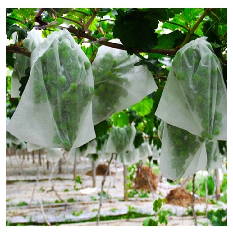 High Quality Bags Grapes Fruit Cover Protection Bag Fuit White Non woven Fruit Cover Protection Bag