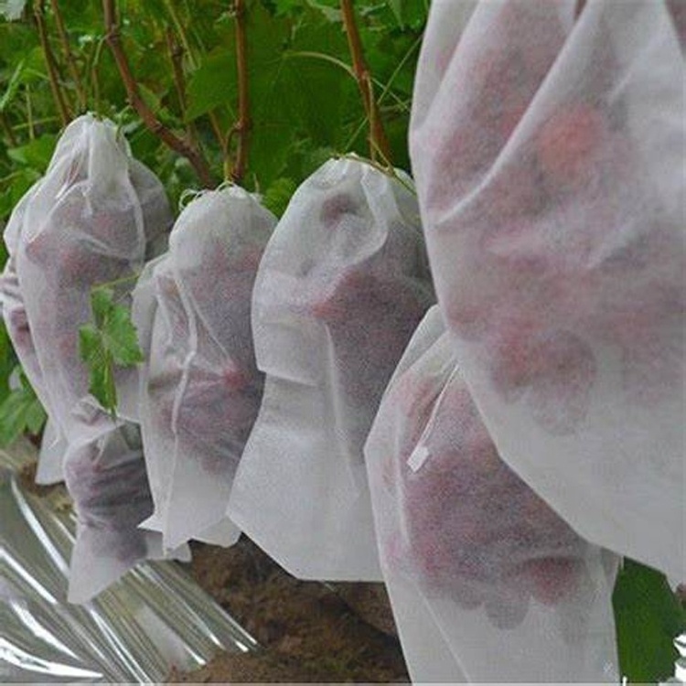 High Quality Bags Grapes Fruit Cover Protection Bag Fuit White Non woven Fruit Cover Protection Bag