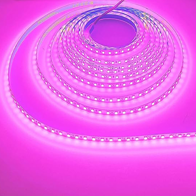 LED 12V 24V smd 2835 soft light LEd strip three double row 480 120 240 360 lights super bright voltage flexible lighting bar