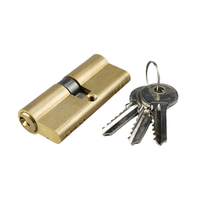 OEM high quality security 60mm 70mm 80mm 90mm 100mm Euro brass lock cylinders