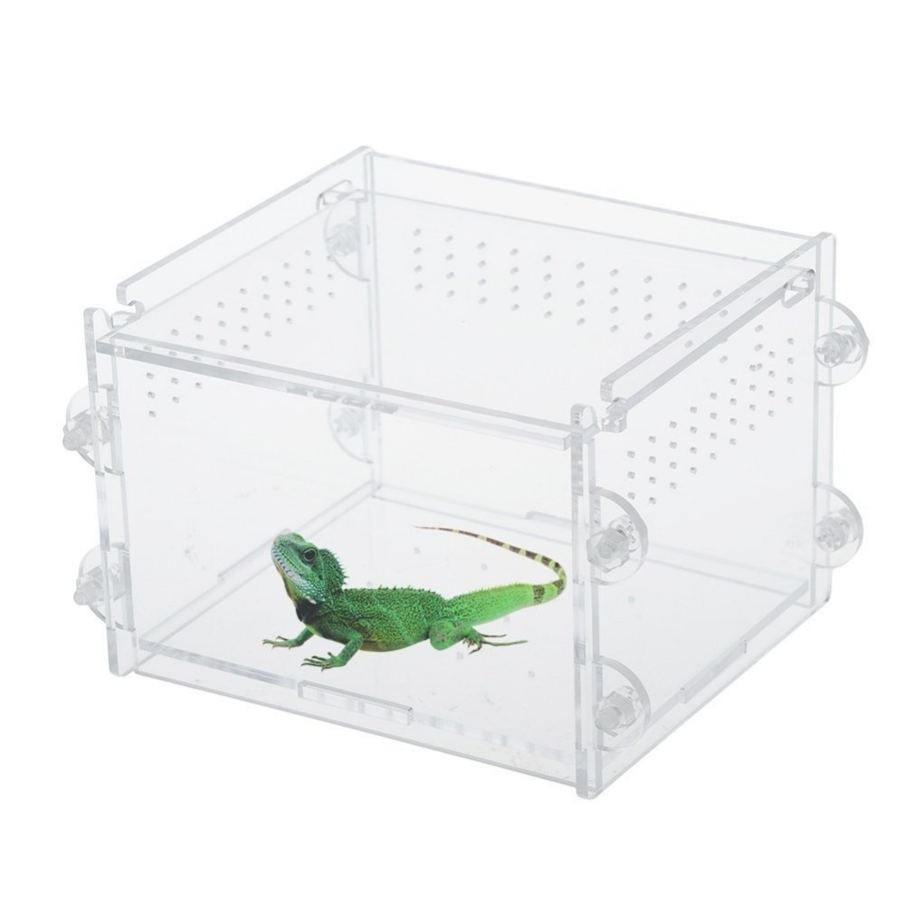 Lizard Chameleon Spider Snake or Other Reptiles & Amphibians Acrylic Transparent Reptiles Terrarium Container